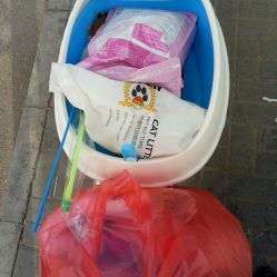 后沙峪寵物食品用品團購 北京寵物服務全指南